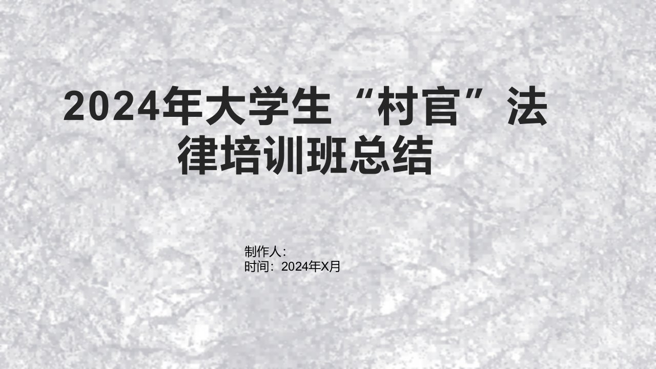 2024年大学生“村官”法律培训班总结