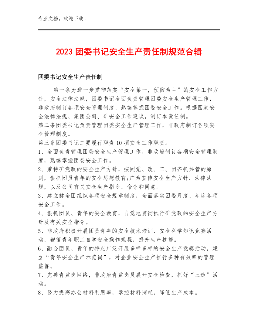 2023团委书记安全生产责任制规范合辑