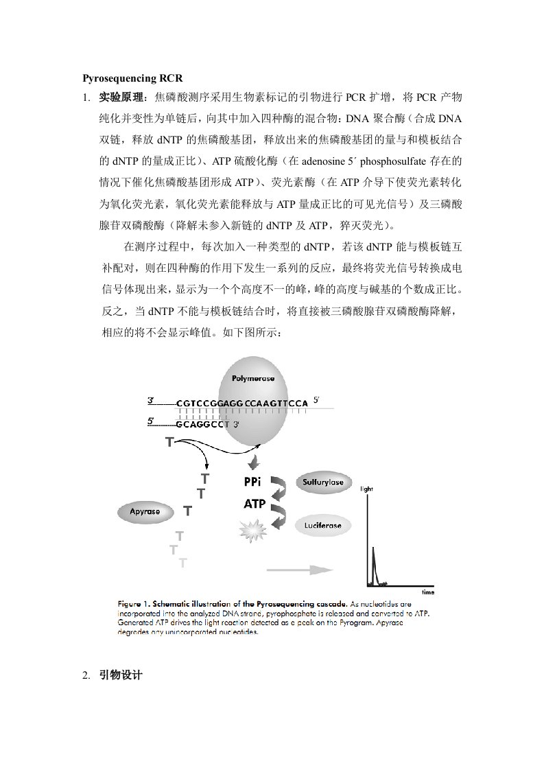 焦磷酸测序的原理及引物设计