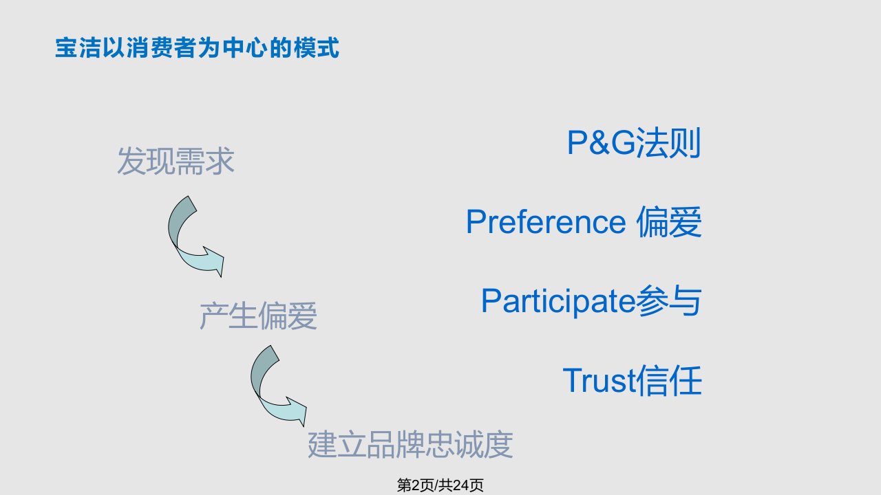 宝洁消费者行为分析dps