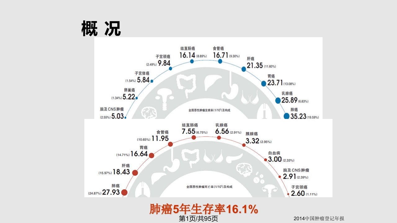 非小细胞肺癌靶向治疗新进展PPT课件