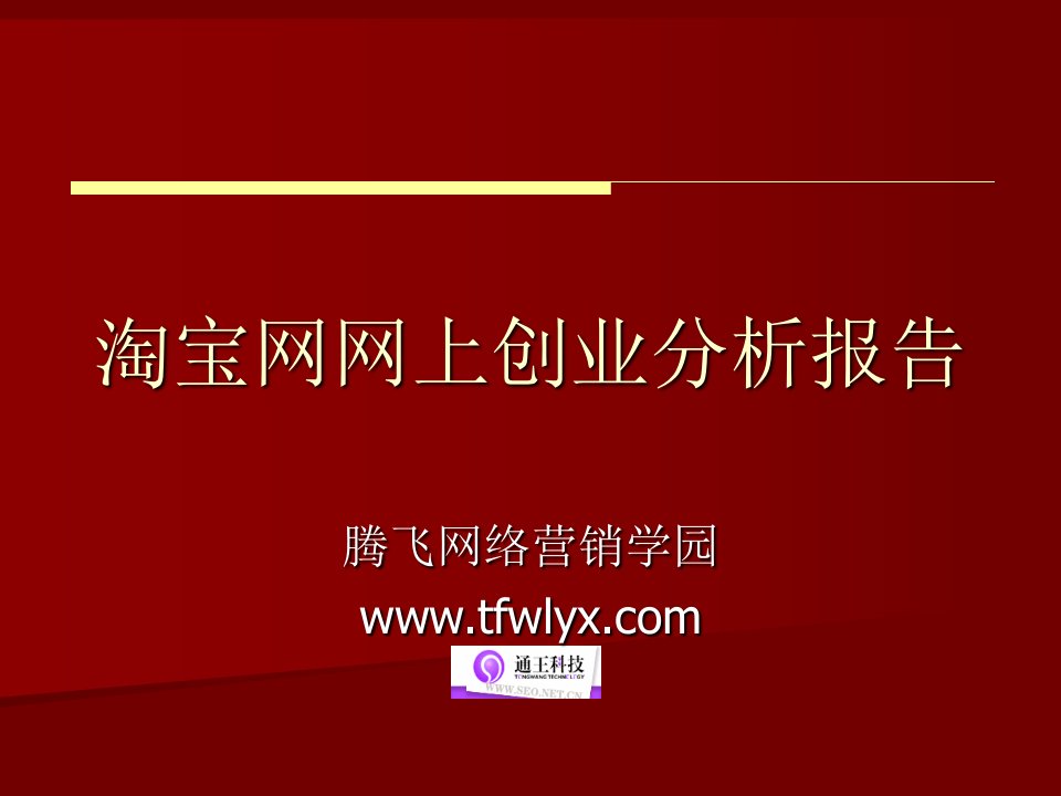 通王科技-淘宝网网上创业分析报告