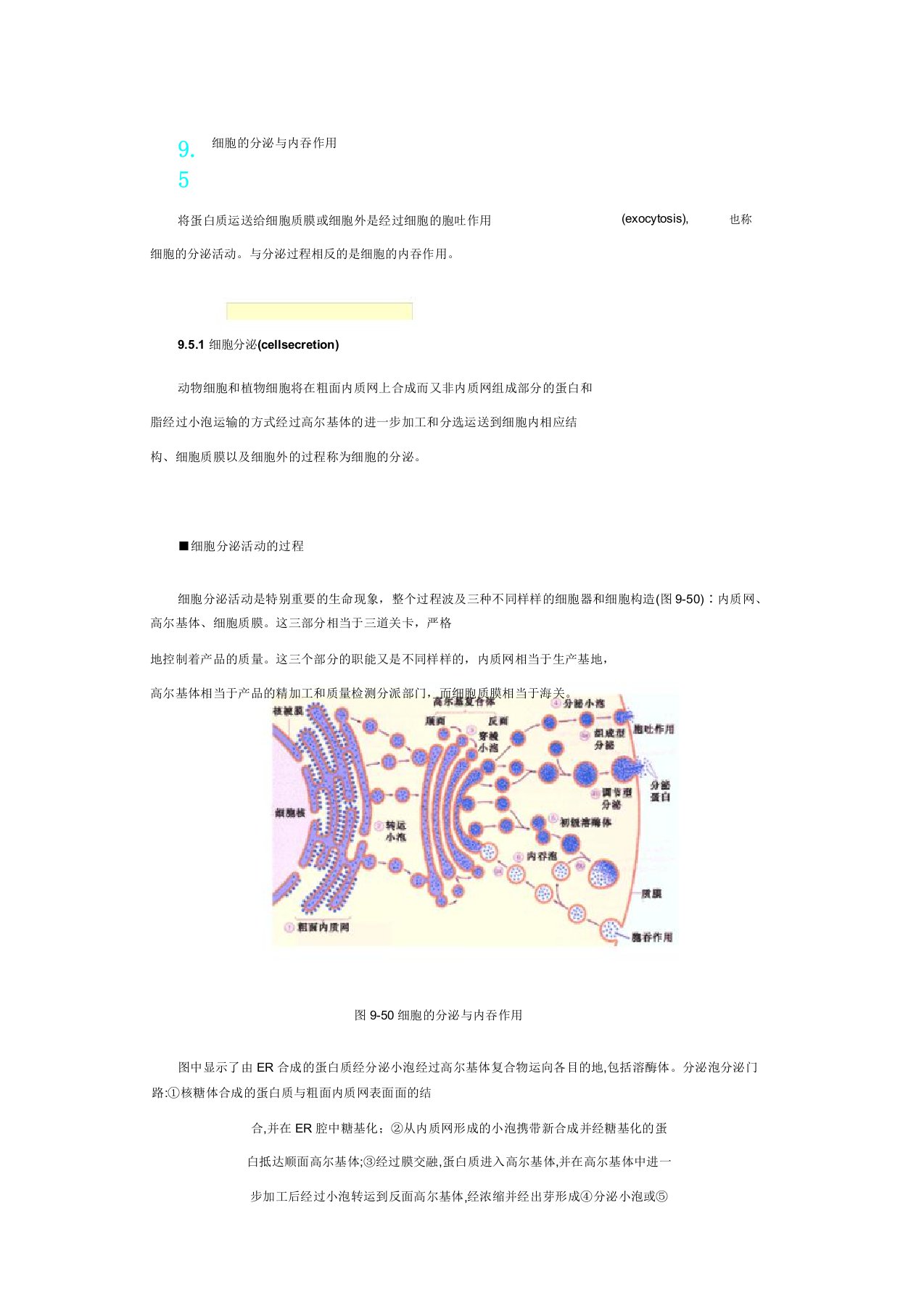 内吞及外排