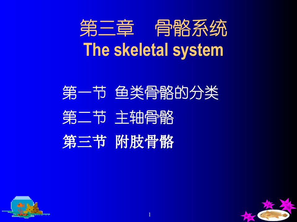 鱼类学骨骼系统