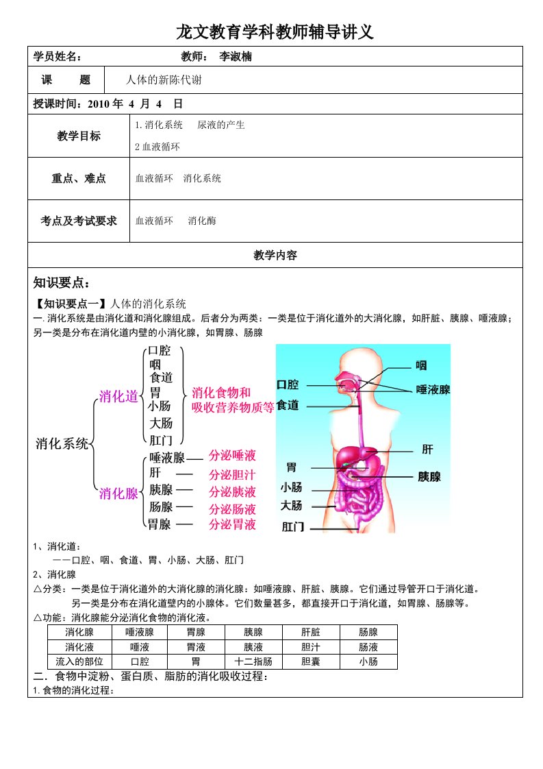 人体的新陈代谢