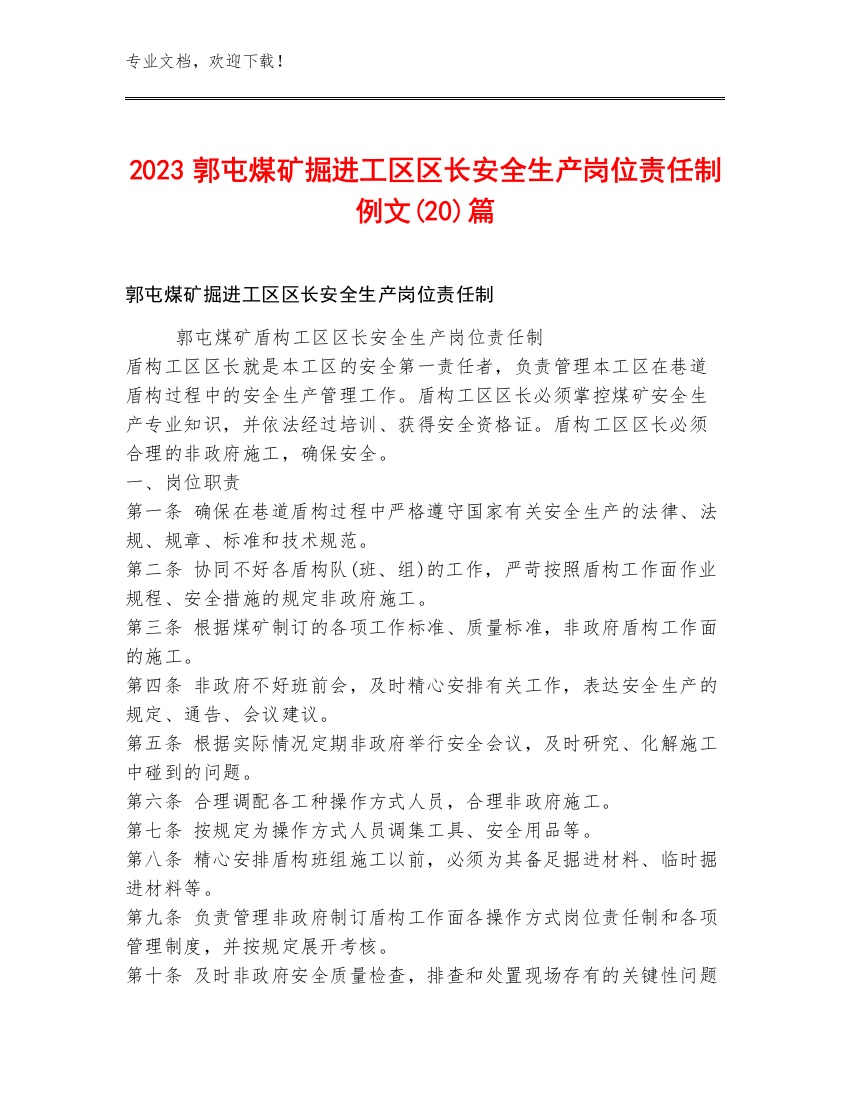 2023郭屯煤矿掘进工区区长安全生产岗位责任制例文(20)篇