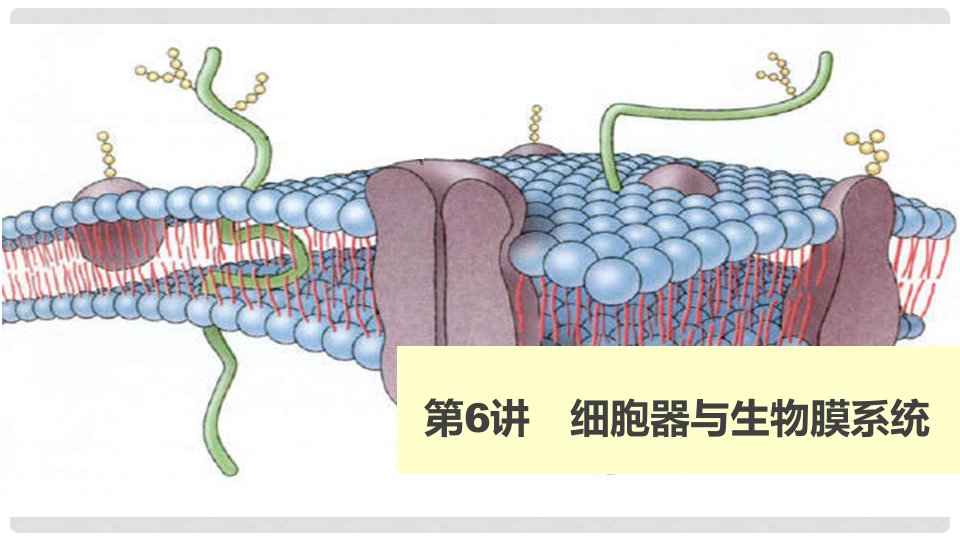 高考生物大一轮复习