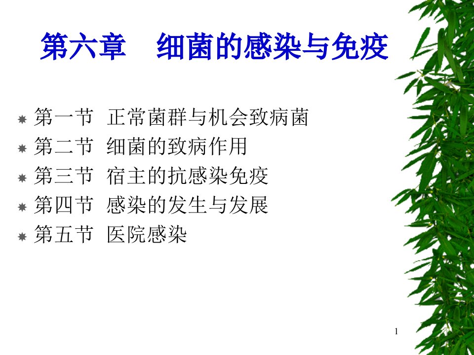 医学专题C6细菌感染与免疫