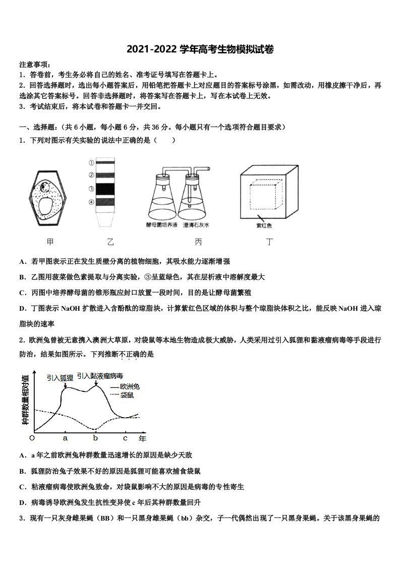 内蒙古锦山蒙古族中学2021-2022学年高三冲刺模拟生物试卷含解析