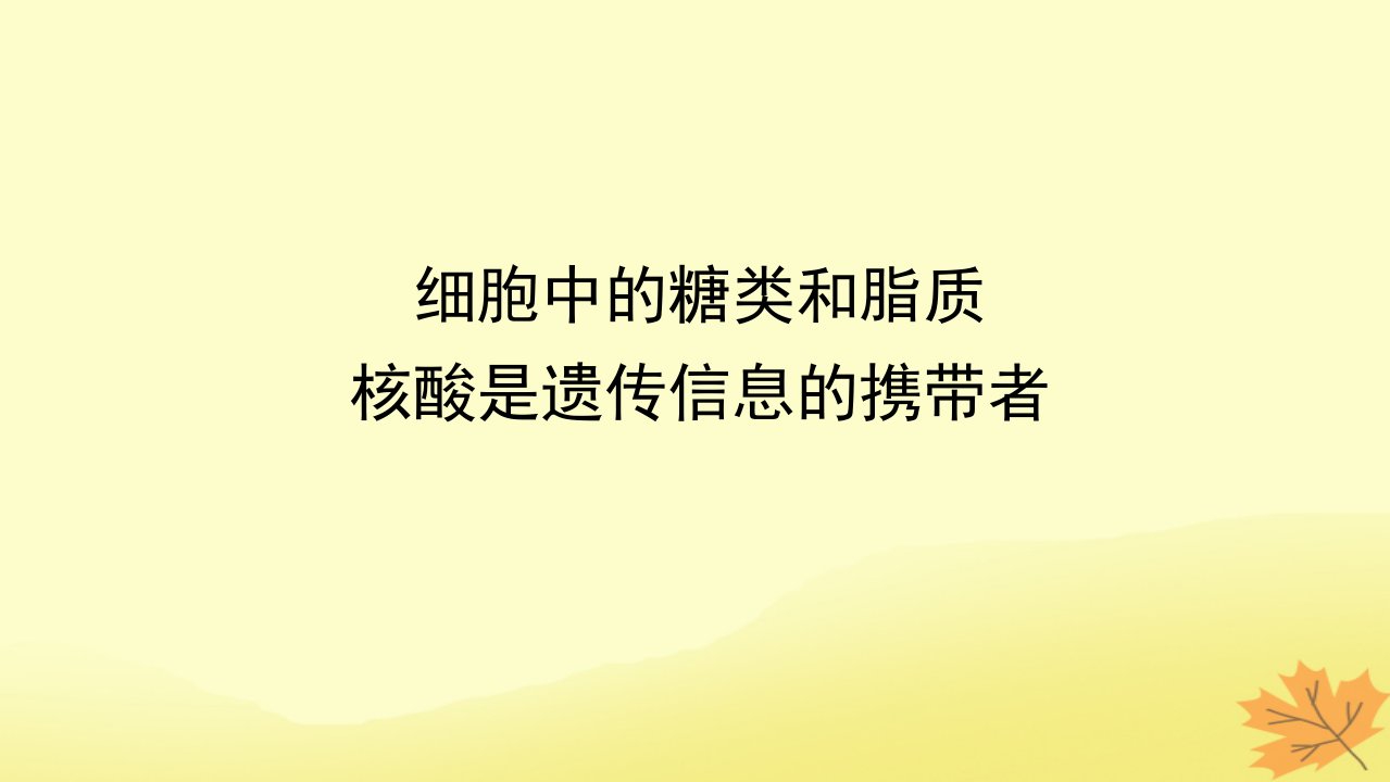 2023版新教材高考生物一轮复习第一单元走近细胞及组成细胞的分子课堂互动探究案4细胞中的糖类和脂质核酸是遗传信息的携带者课件