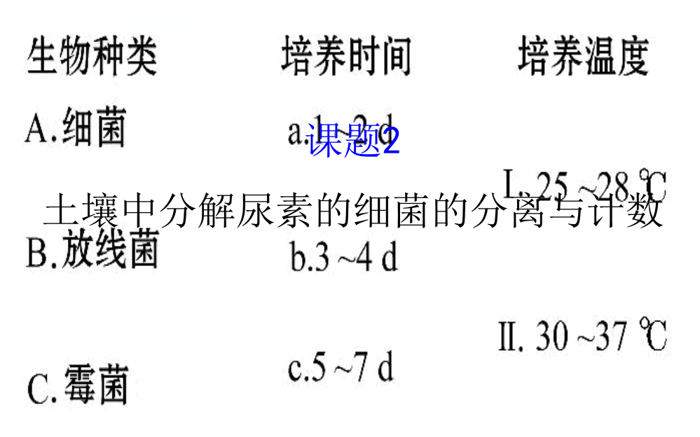 土壤中分解尿素的细菌的分离与计数PPT课件