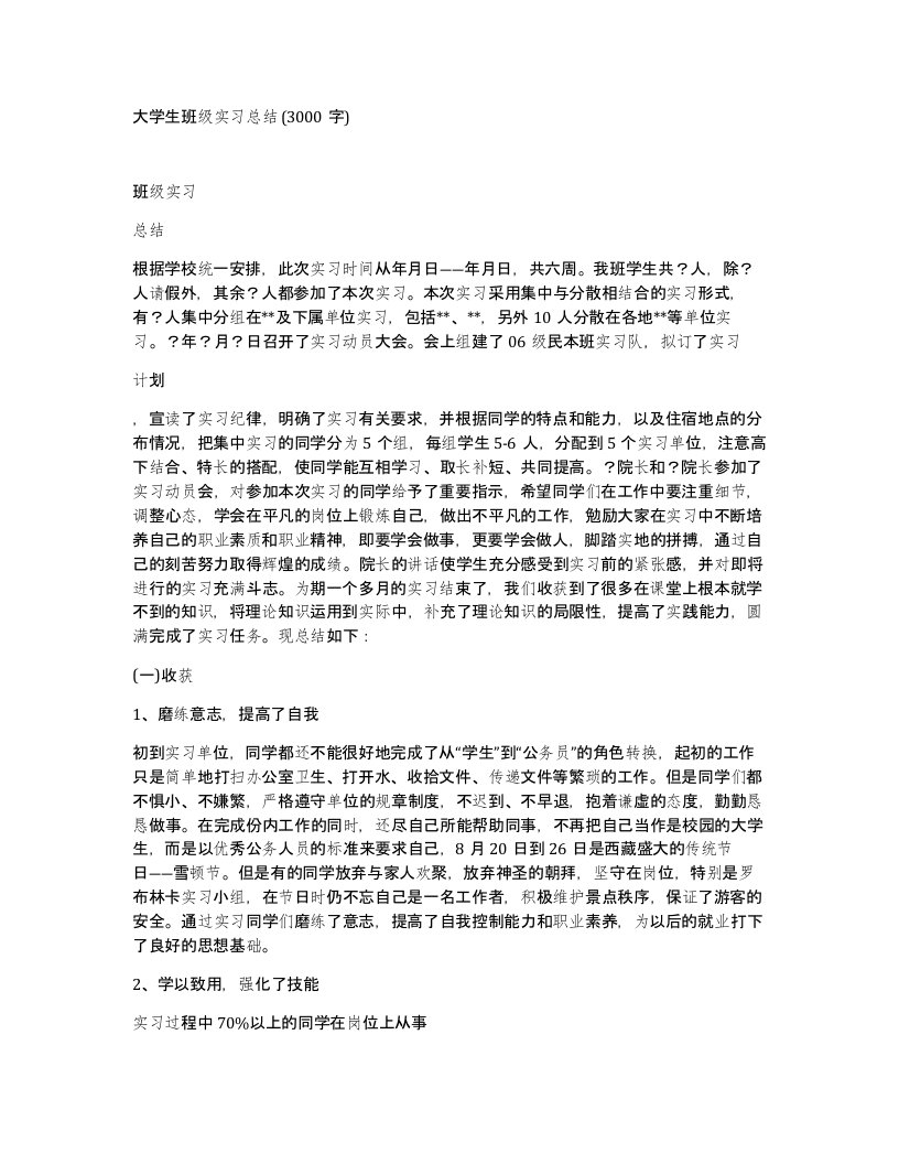 大学生班级实习总结3000字