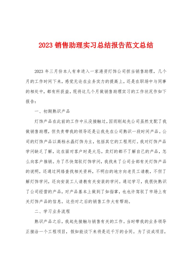 2023销售助理实习总结报告范文总结