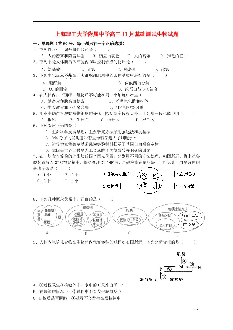 上海理工大学附属中学高三生物11月月考试题新人教版