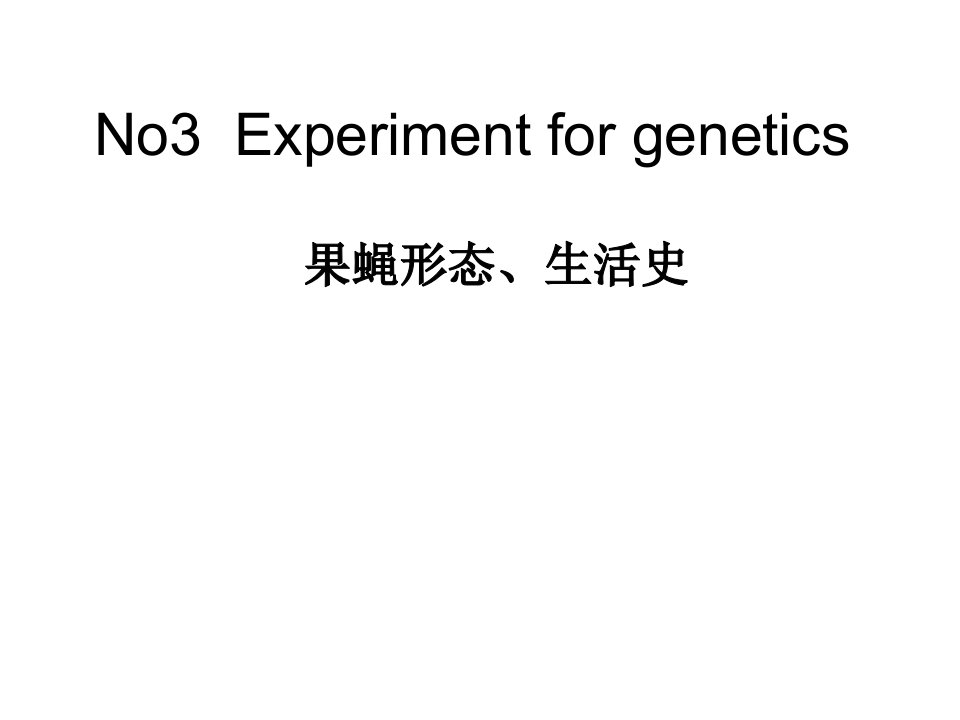 果蝇形态生活史