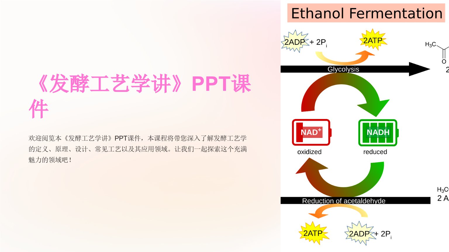 《发酵工艺学讲》课件