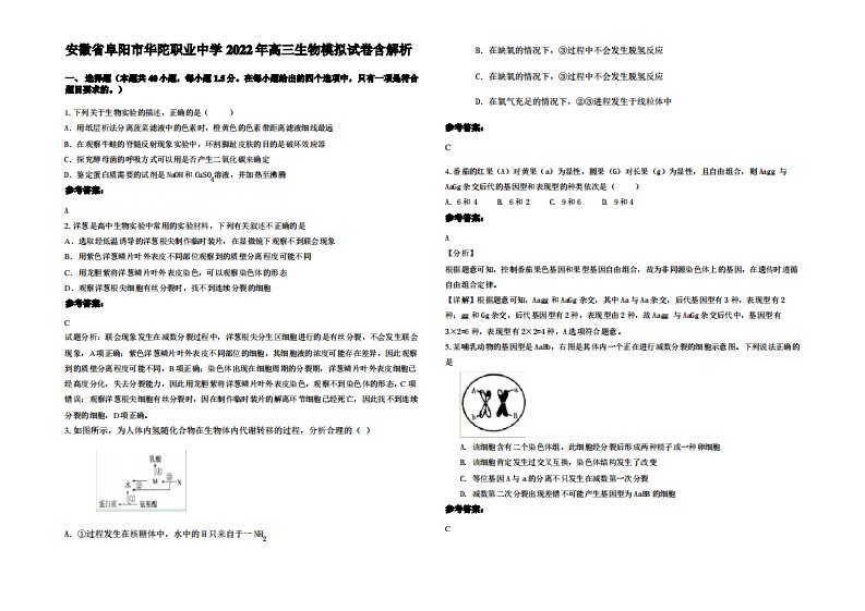 安徽省阜阳市华陀职业中学2022年高三生物模拟试卷含解析