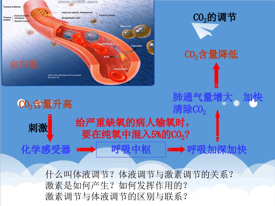 环境管理-激素调节与内环境一轮