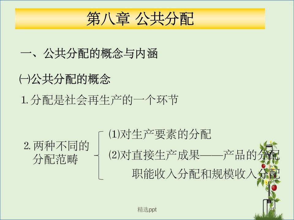 公共经济学(第八章)大纲--公共分配