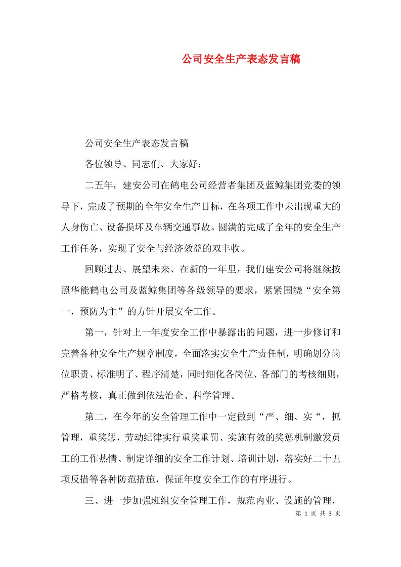 公司安全生产表态发言稿（三）