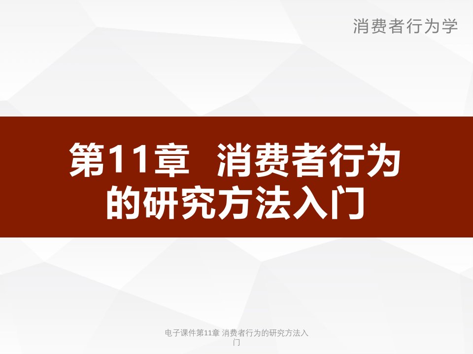 电子课件第11章消费者行为的研究方法入门