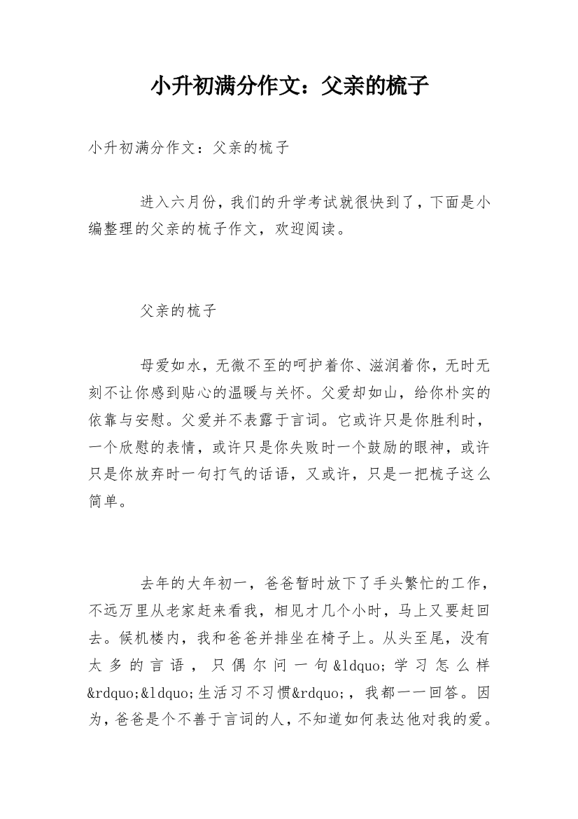 小升初满分作文：父亲的梳子