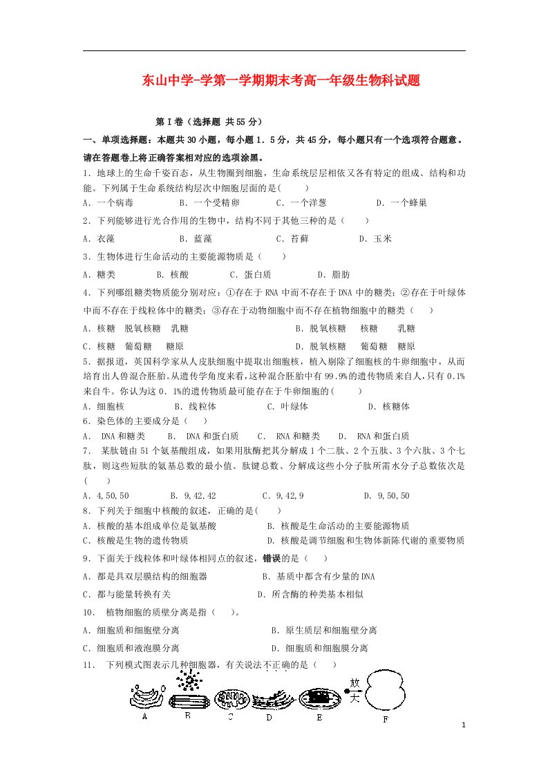 广东省汕头市潮南区高一生物上学期期末试题新人教版