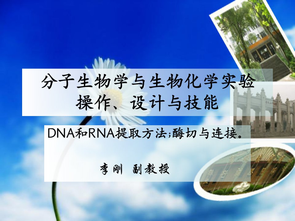 分子生物学之DNA和RNA的提取方法及酶切和连接