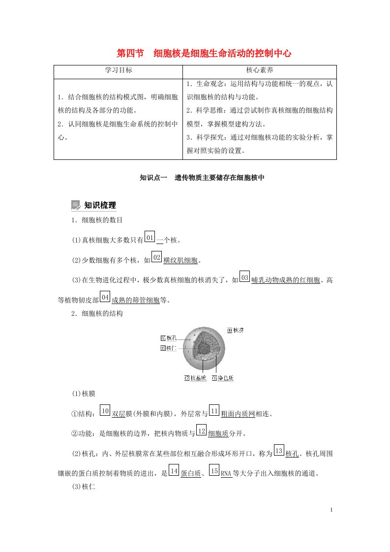 新教材高中生物第2章细胞的结构第4节细胞核是细胞生命活动的控制中心导学案浙科版必修1