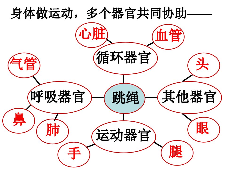 教科版四年级上册四单元7课教案