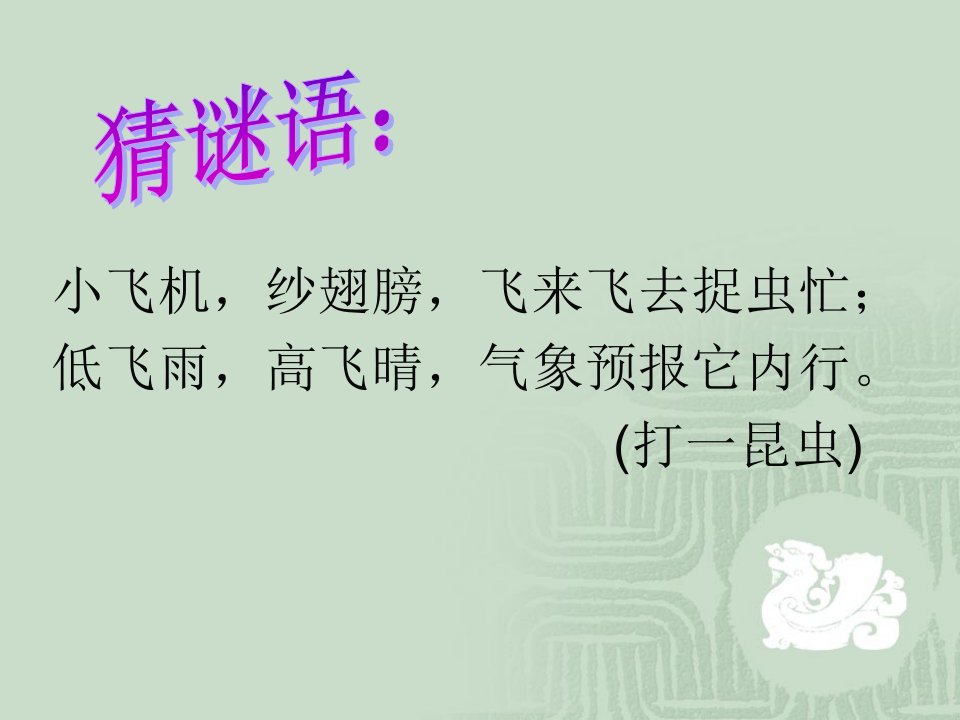 《放飞蜻蜓》PPT课件