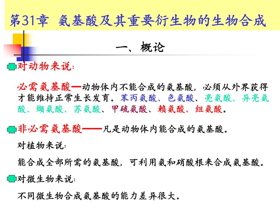 氨基酸的生物合成