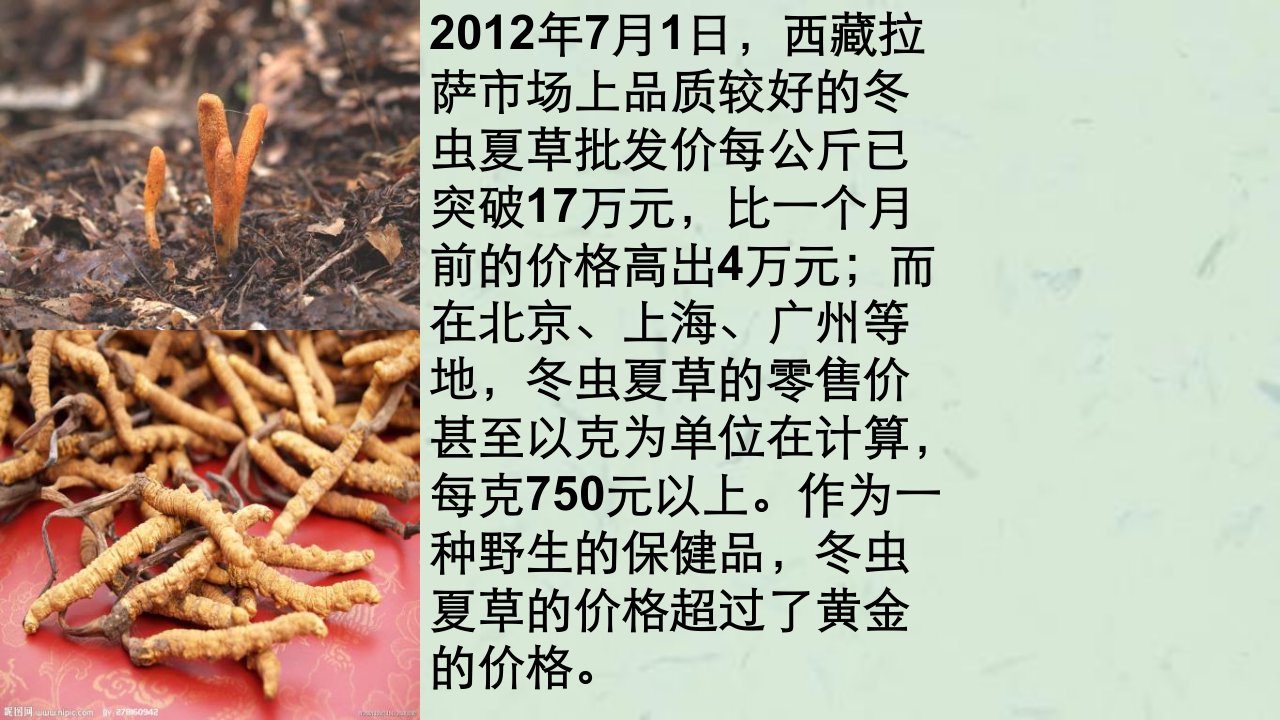 影响价格的因素4课件