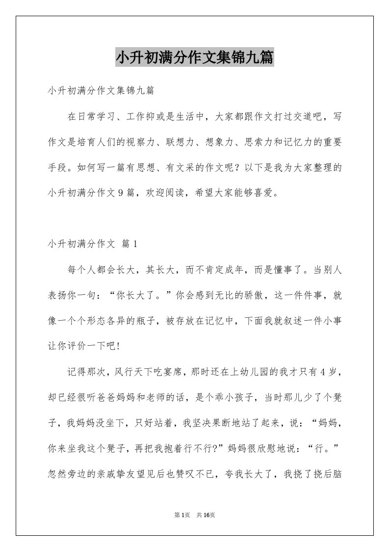 小升初满分作文集锦九篇优质