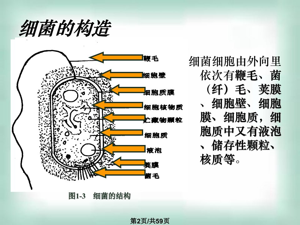 淮安地区生物科选修微生物的实验室培养