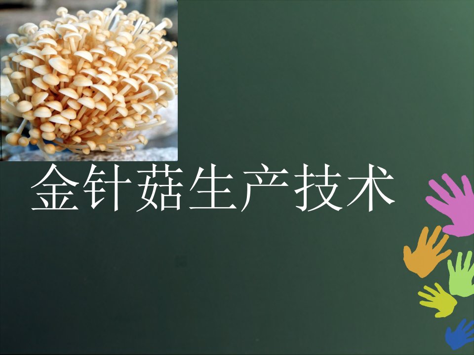 《金针菇栽培技术》PPT课件