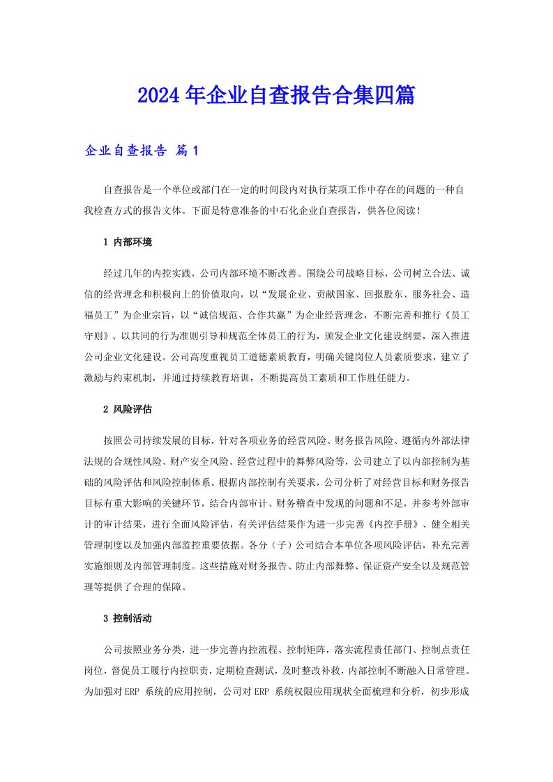 【新版】2024年企业自查报告合集四篇