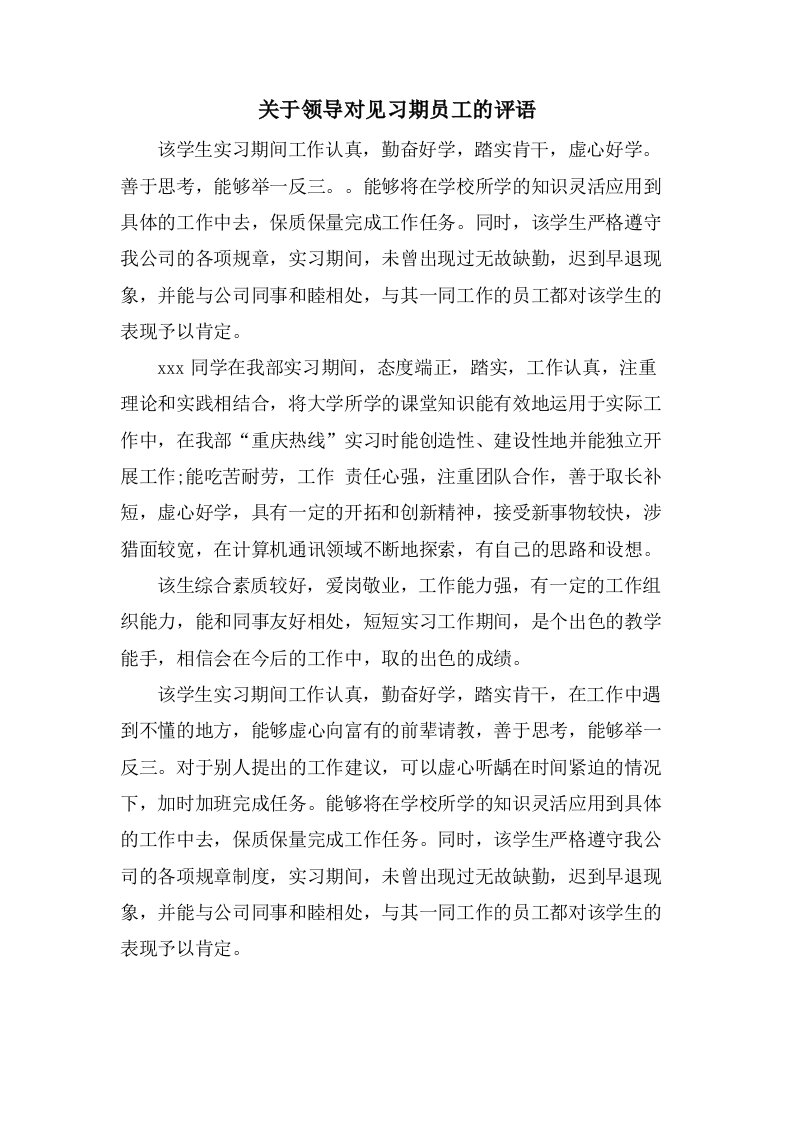 关于领导对见习期员工的评语