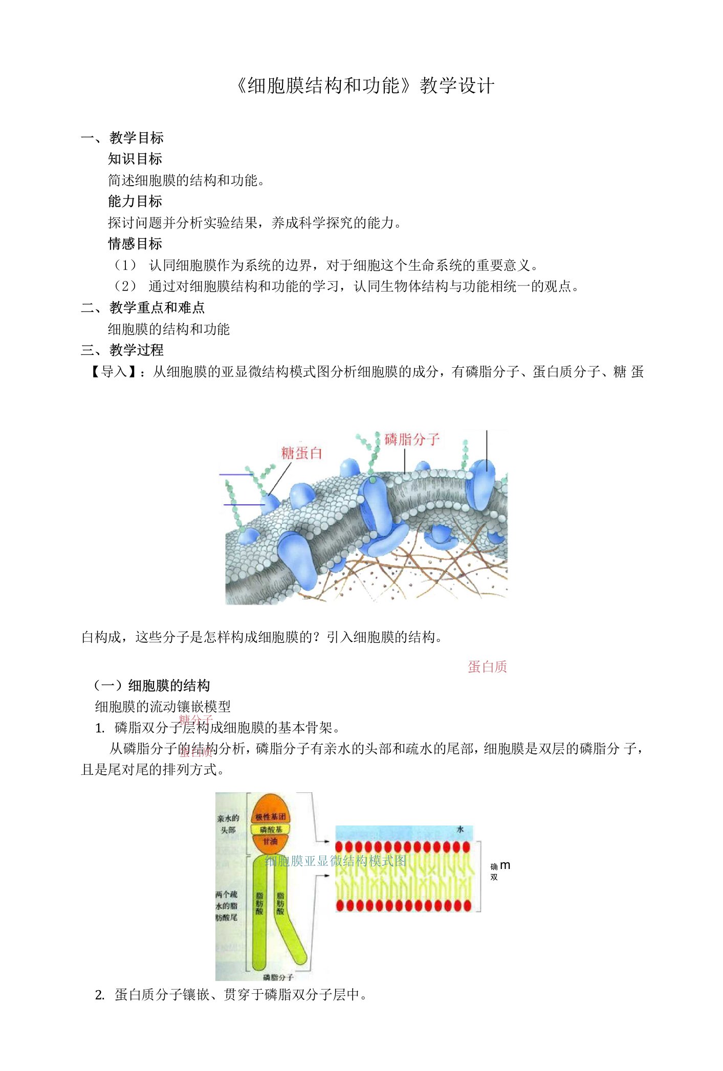 细胞膜的结构和功能