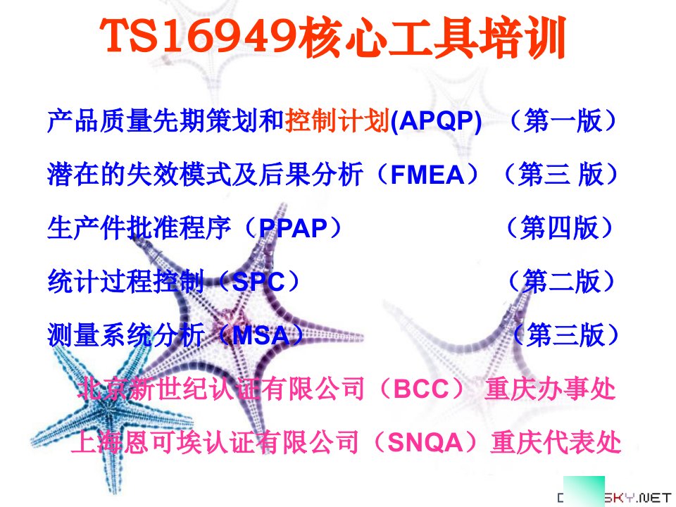 CP控制计划(control-plan培训内容)ppt