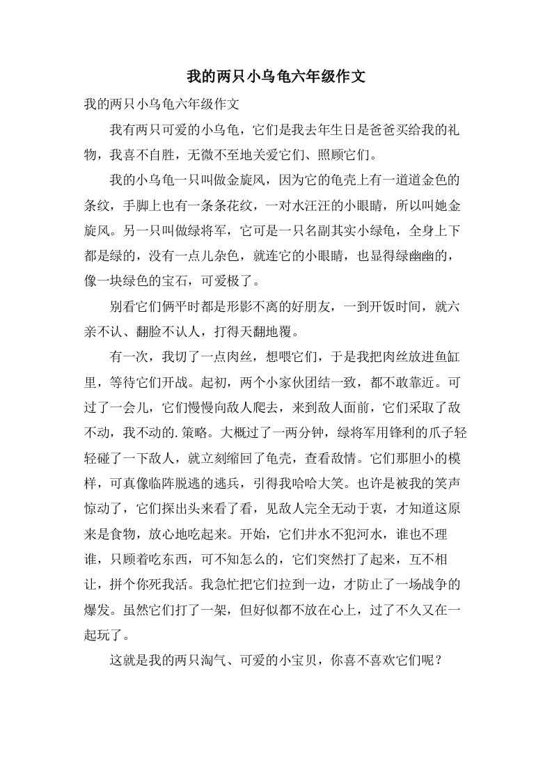 我的两只小乌龟六年级作文