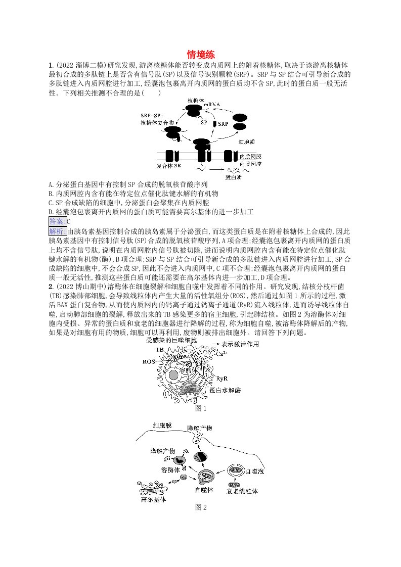 适用于新教材2024版高考生物一轮总复习情境突破课1囊泡运输及细胞自噬新人教版