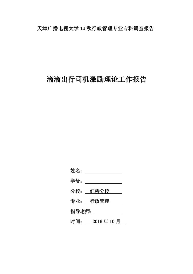 滴滴出行司机激励理论工作报告