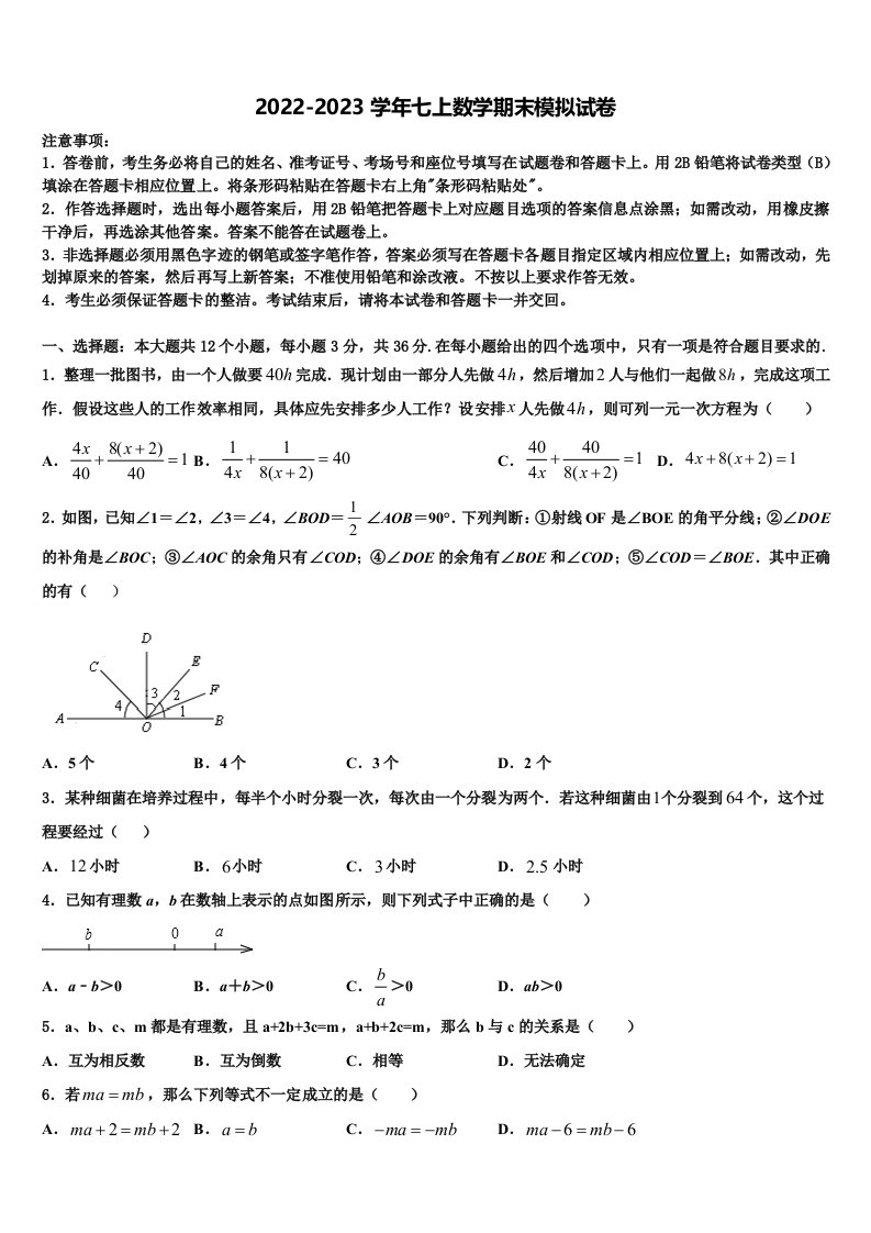 2022年河北省石家庄市栾城区七年级数学第一学期期末联考模拟试题含解析