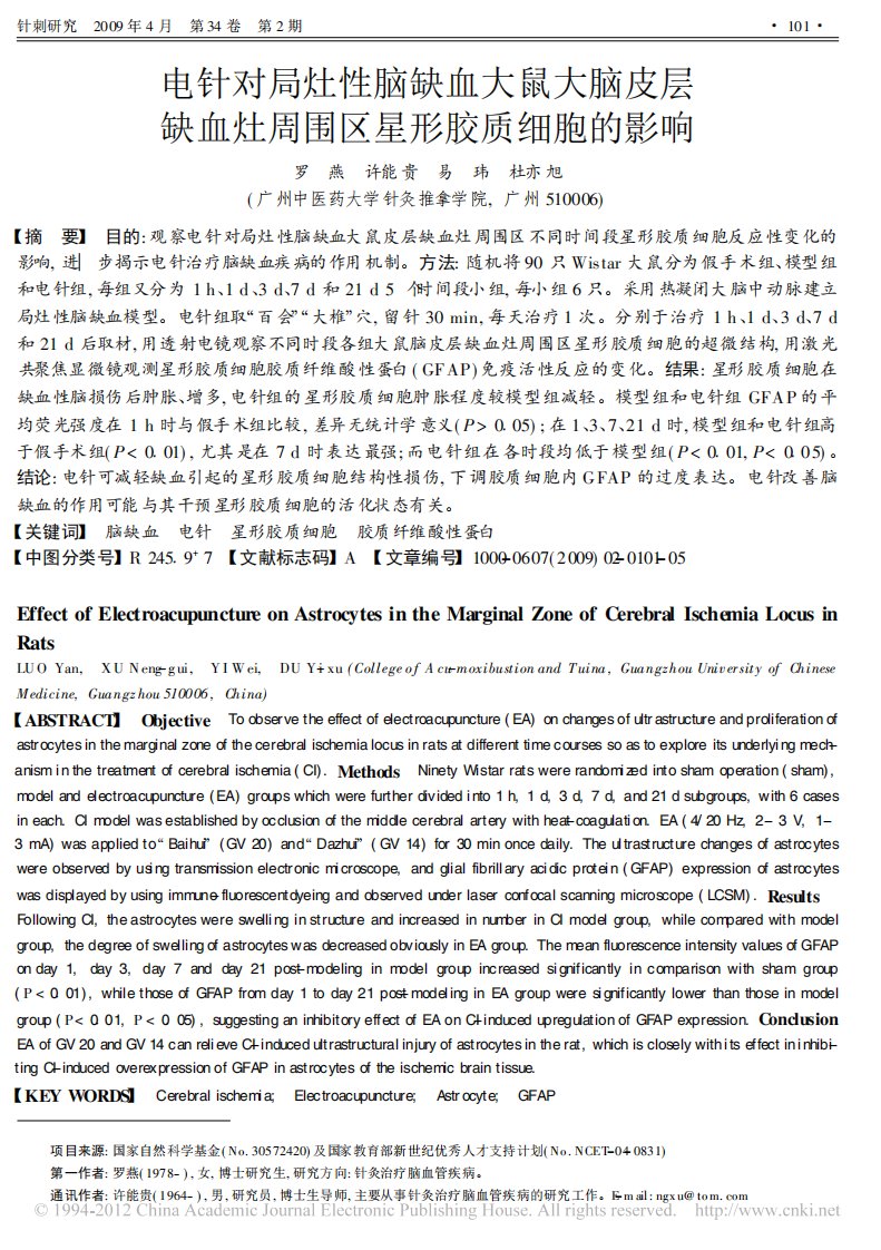 电针对局灶性脑缺血大鼠大脑皮层缺血灶周围区星形胶质细胞的影响-罗燕