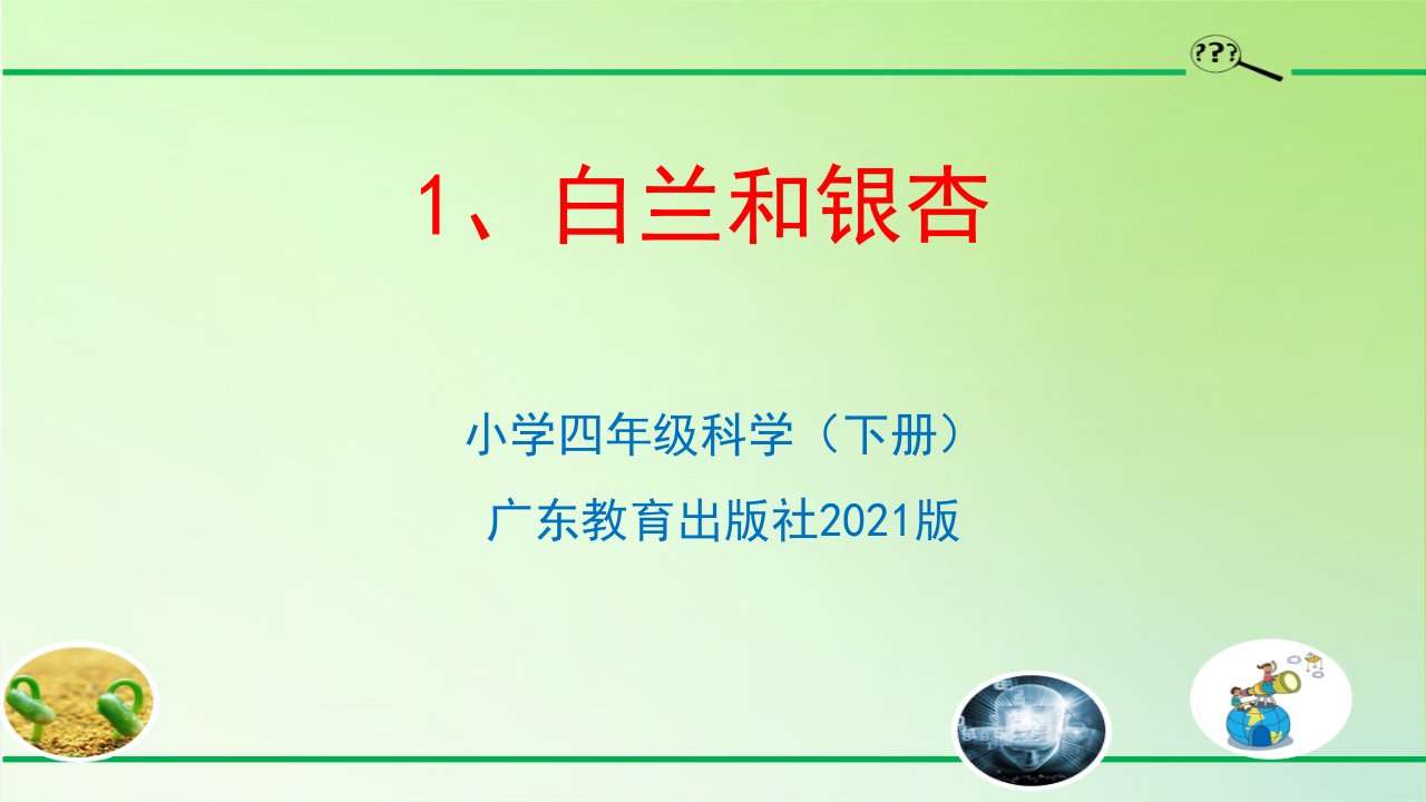 白兰和银杏(小学四年级下册科学)广东教育出版社(最新版)课件