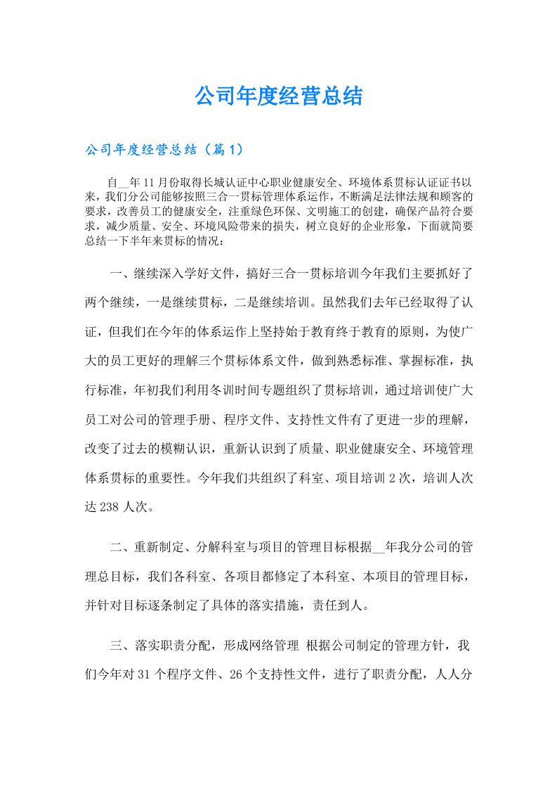 公司年度经营总结