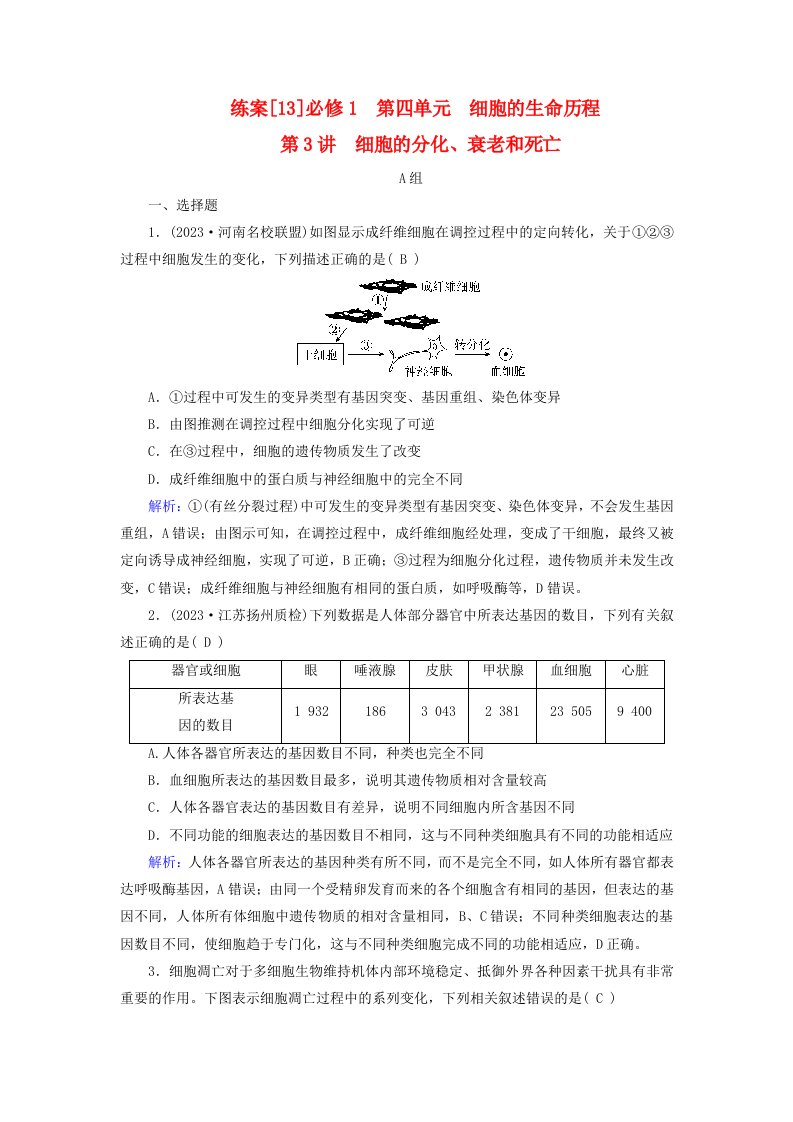 新高考适用2024版高考生物一轮总复习练案13必修1分子与细胞第四单元细胞的生命历程第3讲细胞的分化衰老和死亡