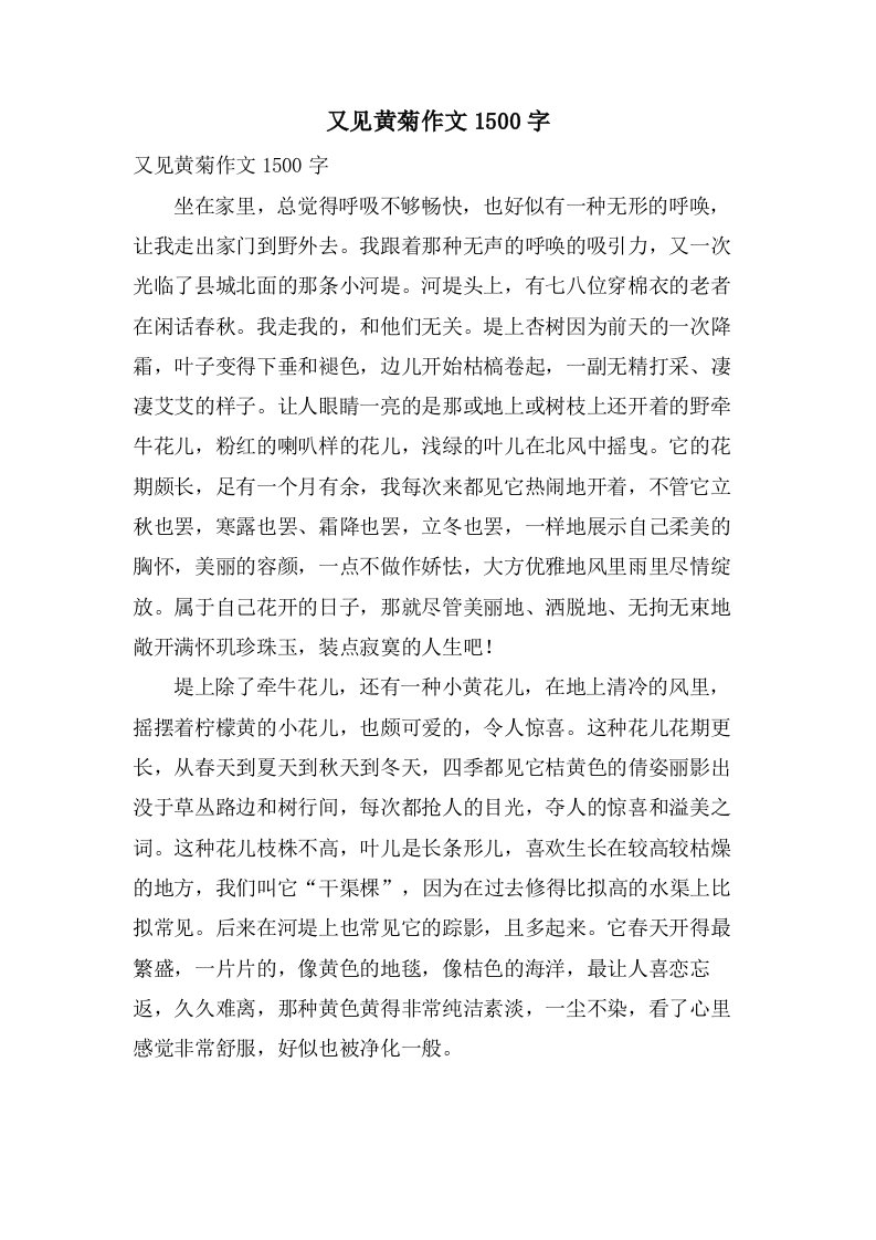 又见黄菊作文1500字