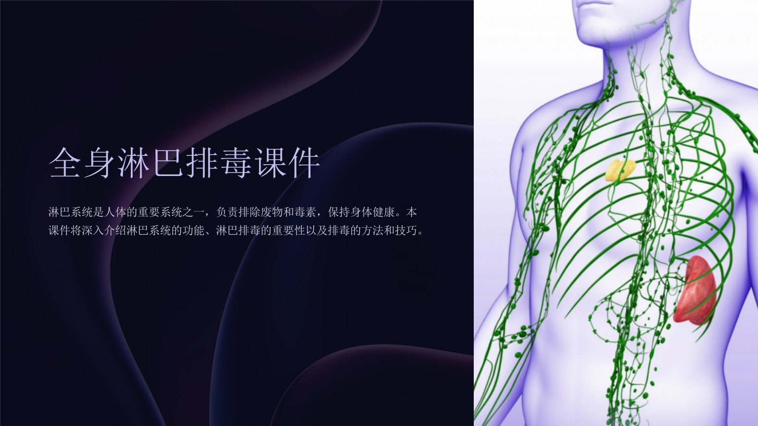 全身淋巴排毒课件